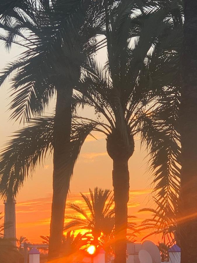 Appartement Palmeras Puerto Paraiso Estepona Dış mekan fotoğraf