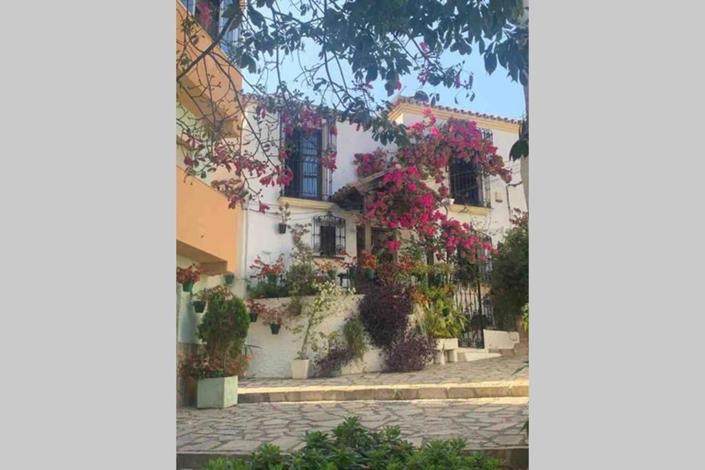 Appartement Palmeras Puerto Paraiso Estepona Dış mekan fotoğraf