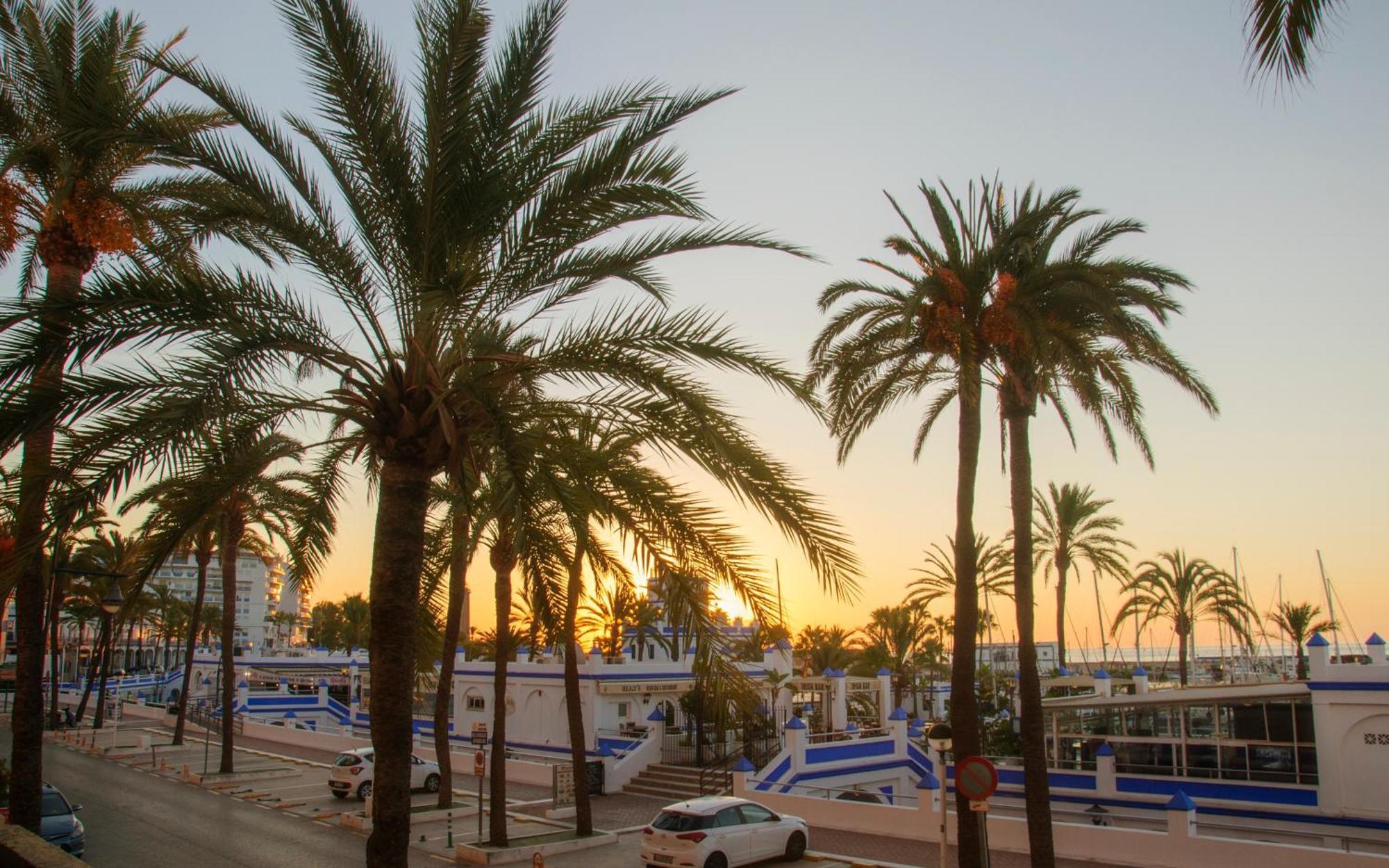 Appartement Palmeras Puerto Paraiso Estepona Dış mekan fotoğraf